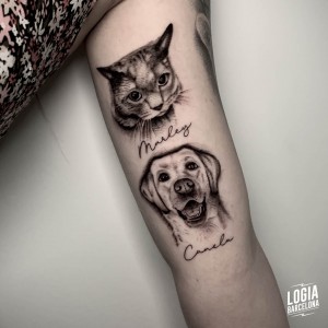 tatuaje_brazo_perro_gato_logiabarcelona_kata